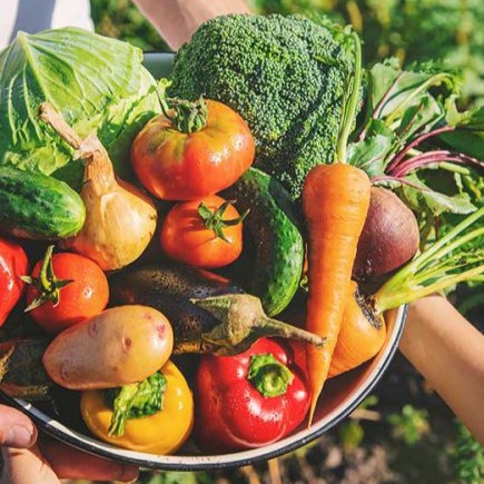 Sản phẩm mẫu số ba