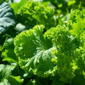 Sản phẩm mẫu số ba